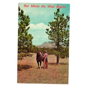 Out Where West Begins Vintage Postcard Man Horse Nature Don Grigg Dexter Press